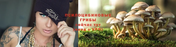 спайс Беломорск