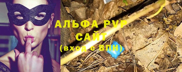 меф Арсеньев